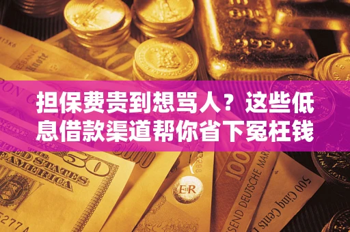 济南担保费贵到想骂人？这些低息借款渠道帮你省下冤枉钱