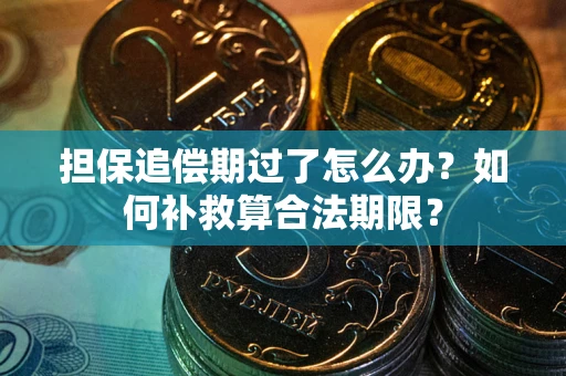 济南担保追偿期过了怎么办？如何补救算合法期限？