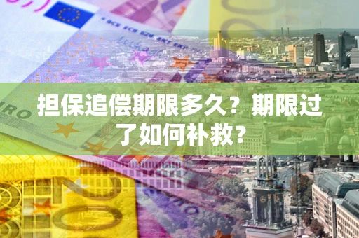 济南担保追偿期限多久？期限过了如何补救？