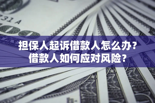 济南担保人起诉借款人怎么办？借款人如何应对风险？