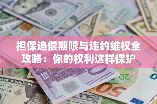 济南担保追偿期限与违约维权全攻略：你的权利这样保护