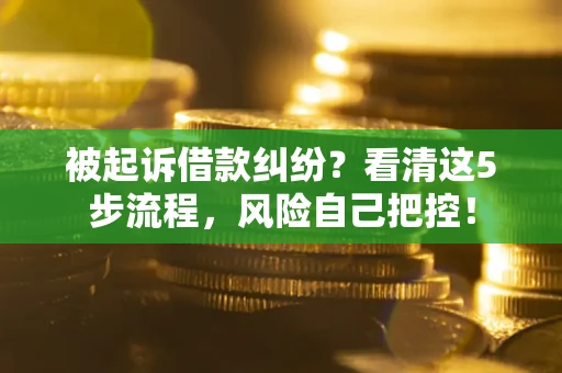 济南被起诉借款纠纷？看清这5步流程，风险自己把控！